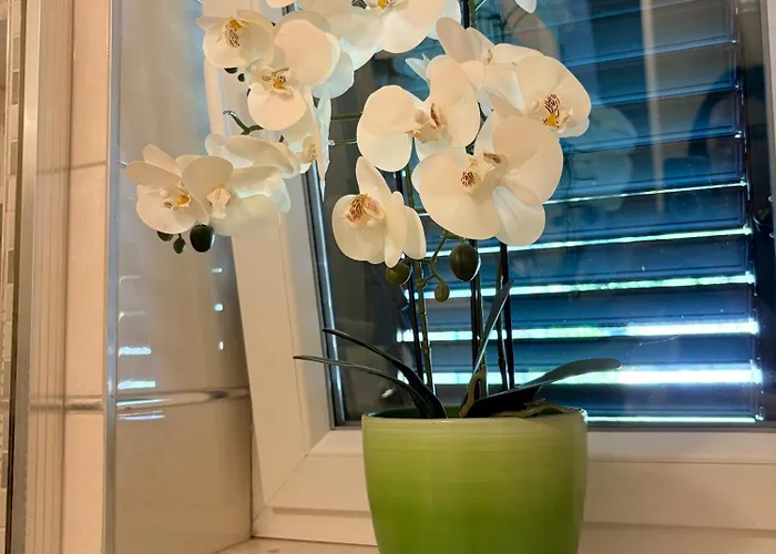 Andelina, Apartment *